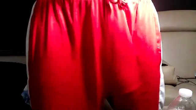 Show Webcam de ThickD2C