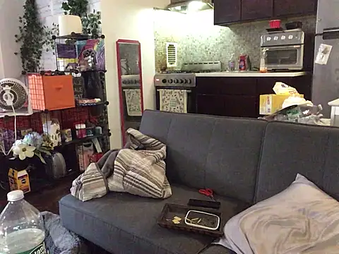 littyleesh1 Chat XXX live