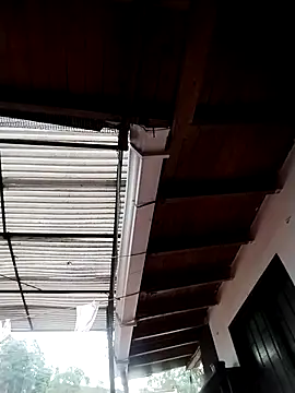 solpeich Chat XXX in diretta