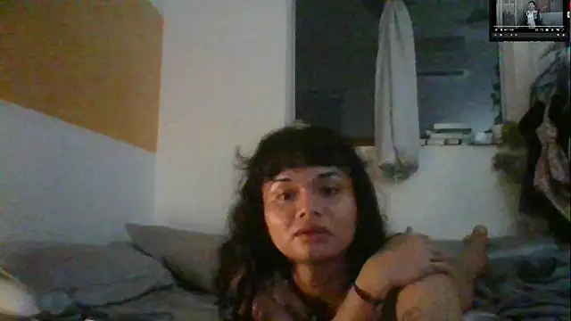 Show de estradiolist na webcam