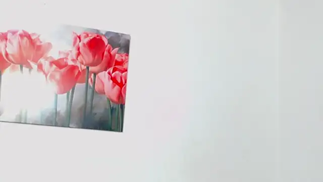 pinky_f00x élő XXX-chatje