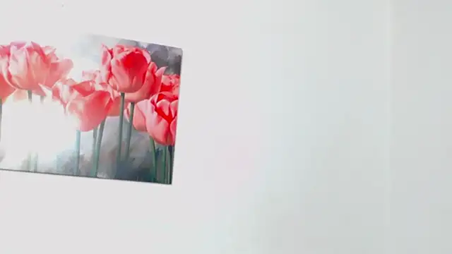 Czat XXX na żywo – pinky_f00x