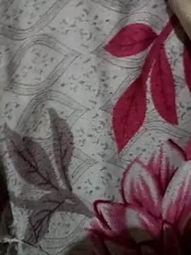 rockmen04のウェブカメラショー