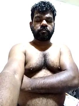 Hiptonos Live XXX-Chat