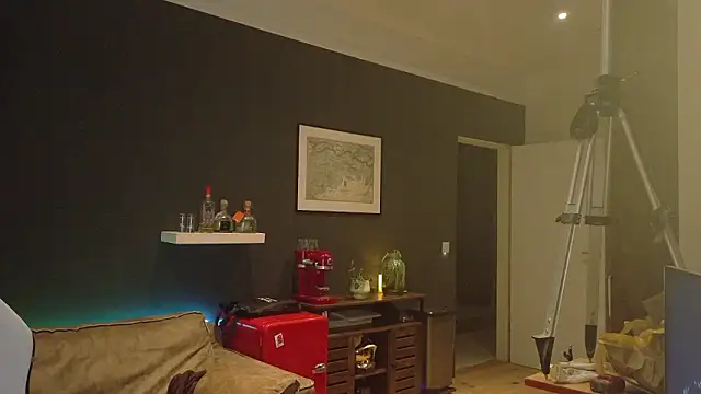 SwissDadbod – Naživo XXX chat