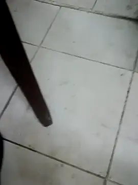 โชว์เว็บแคมของ ConvoyedSubgroup