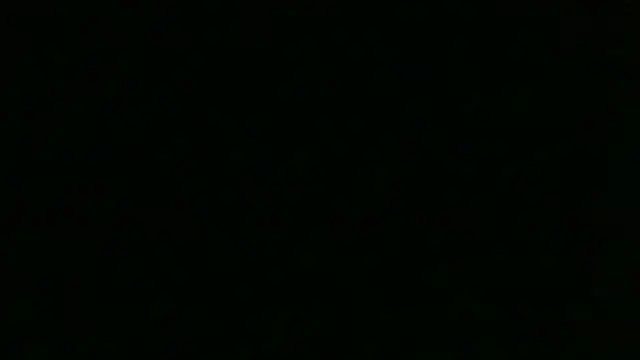 Show webcam de Chichoplus1