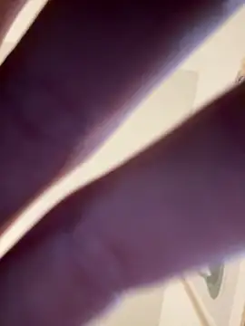 Show de webcam de MitshCam