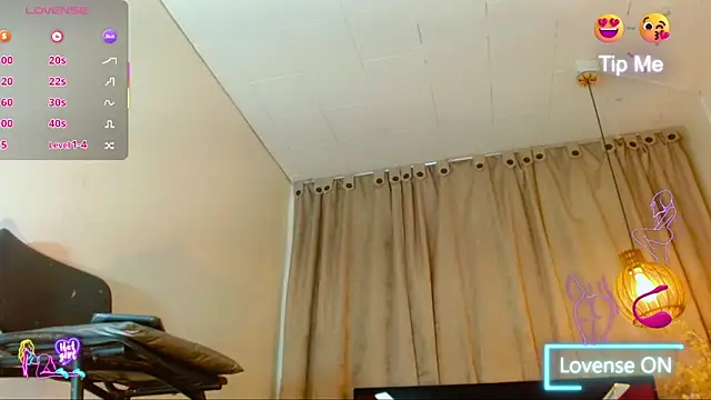 katha_Crawfordn Webbikameraesitys