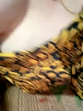 Chelseii's Webcam Show