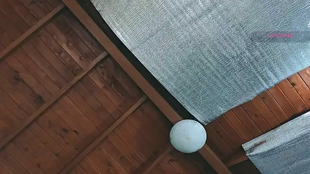 SilvaBranko: διαδικτυακό σόου στην κάμερα