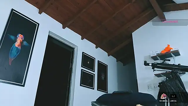 عرض كام SilvaBranko