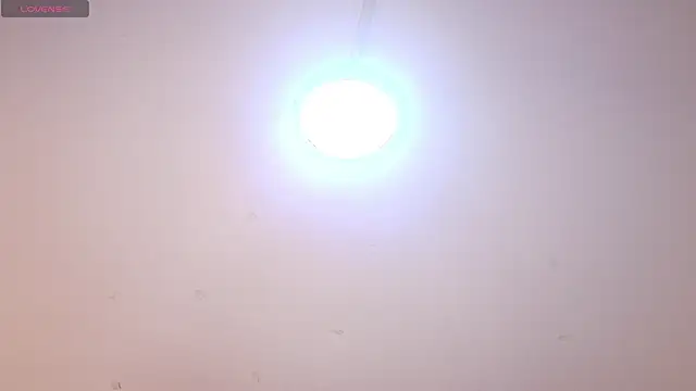 แชท XXX สดของ noah_bellarose