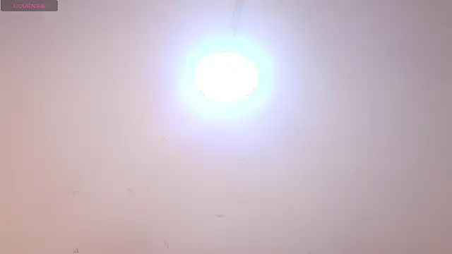 Chatroom XXX en direct de noah_bellarose