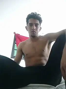 Show Webcam de Noscay