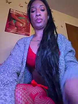 Chatroom XXX en direct de LeBimbo