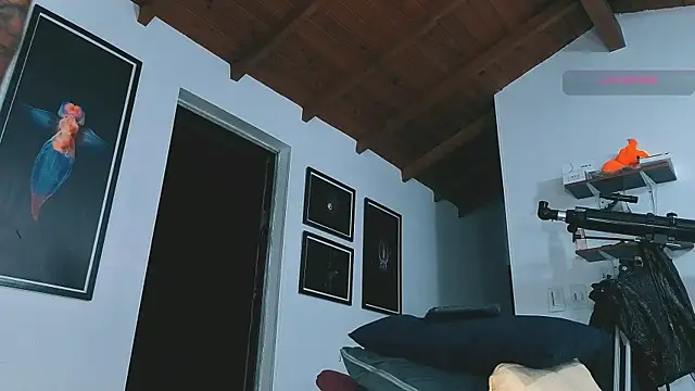 SilvaBranko Pertunjukan Webcam