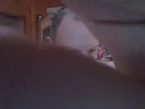 Jackauff69's Webcam Show