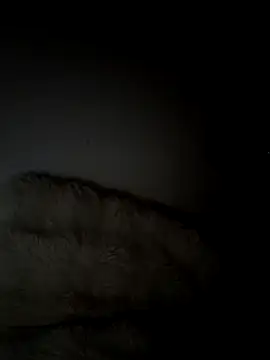 iamlalamilano's Live XXX Chat