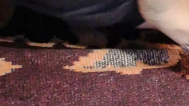 loverboyxxx69 Webcam Show