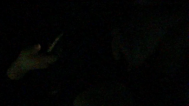 Show Webcam de Meistro30