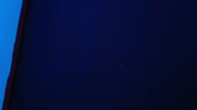 CristalRose Obrolan Langsung XXX