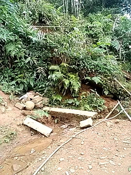 meg_06 网络视讯表演