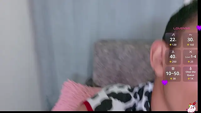 Show webcam de Noirvynn