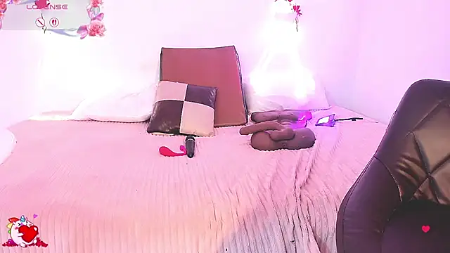 Sol_Vanegasn Webbikameraesitys