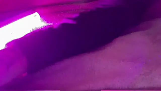 AlmaryKim's Live XXX Chat