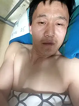 wadmma 网络视讯表演