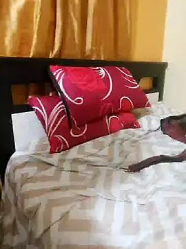 samitetas Webcam-Show