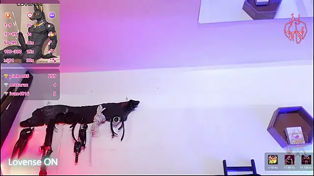 subarashi_ishi69 webkamerás műsora