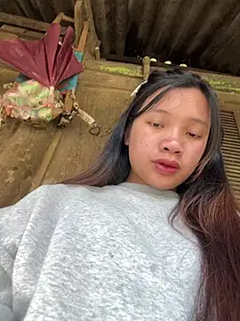 beobeo_2xx 网络视讯表演