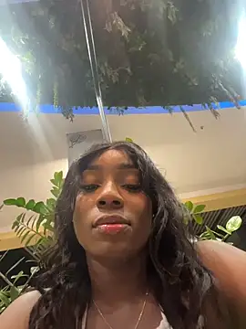 ZarahFerreira Live XXX-chat