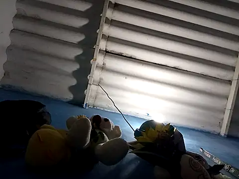 Chat XXX ao vivo de single_virgin