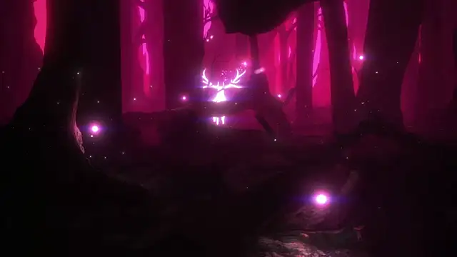 Webkamerová show BimboCat