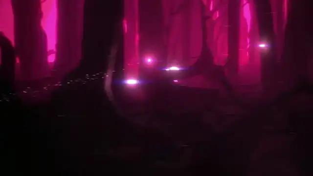 Pokazy przed kamerką – BimboCat