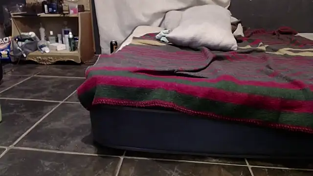 THEEBOSSTEE Live XXX-Chat