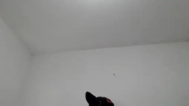 chirlleyy 现场XXX聊天