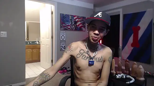 Michigan9000 webkamerás műsora