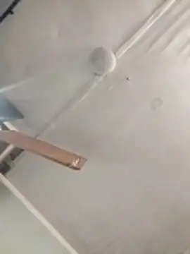 Biknight Webcam show