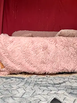 Love_Lysa_: онлайн-секс-чат