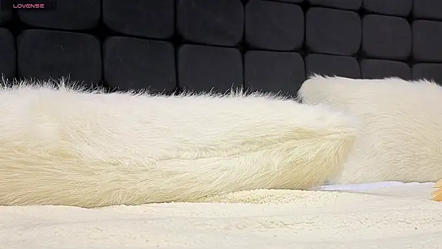 messy-saray's Live XXX Chat