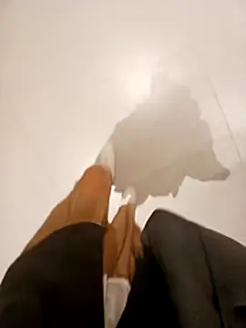 โชว์เว็บแคมของ Ori-Lynk