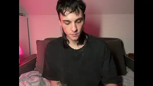 Show de palm1stry na webcam