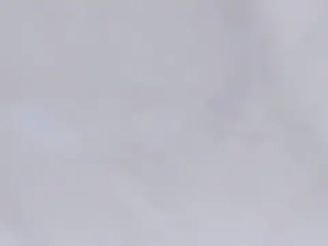 Anime901 即時 XXX 聊天