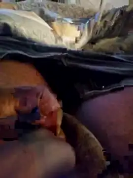 Show webcam de AdamwithEve