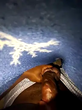 Show de RovingAlcove na webcam