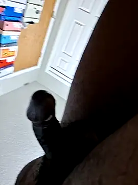 BlackDynasty67 Pertunjukan Webcam